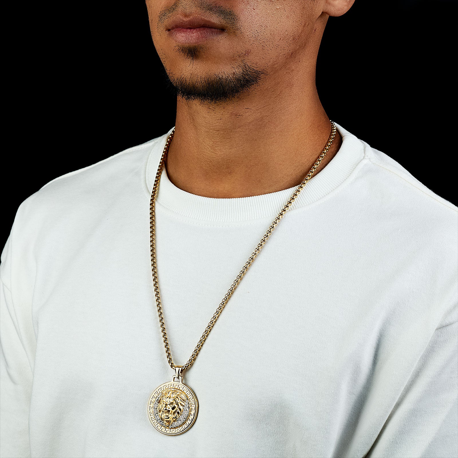 Dije León – Dominio